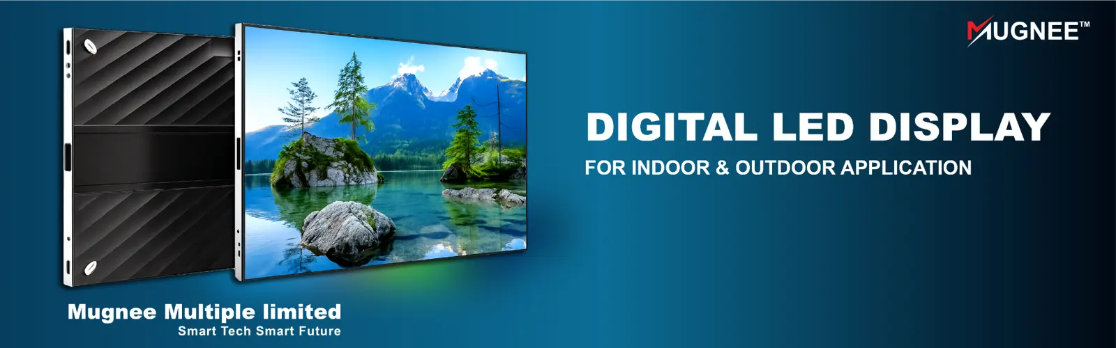 Digital Display