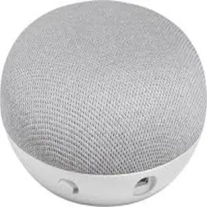 Google Home 1