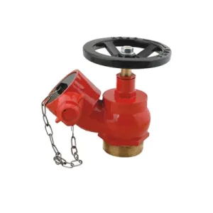 The Fire Hydrant Landing Valve