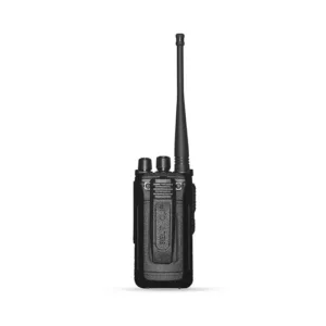 MYT 369 5 back
